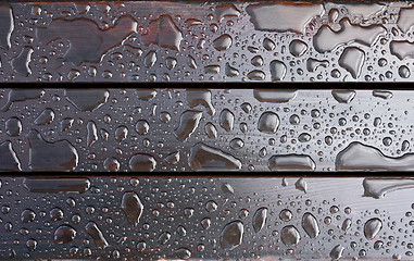 Image showing Drops of water. After rain.