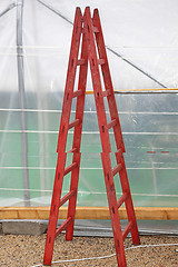 Image showing Ladder