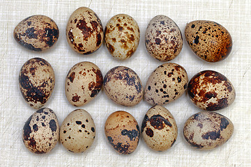 Image showing Quail Eggs