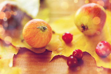 Image showing close up of autumn leaves, fruits and berries