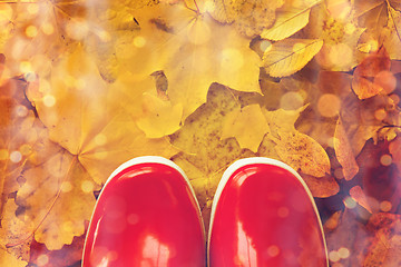 Image showing close up of red rubber boots on autumn leaves