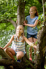 Image showing two happy girls climbing up tree in summer park