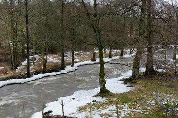 Image showing Kungsbacka river with  cold water