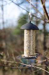 Image showing one bird feeder hangs in the three