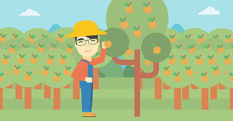 Image showing Farmer collecting oranges vector illustration.