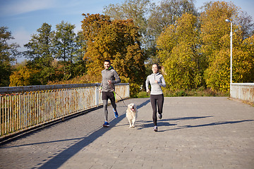 Image showing happy couple with dog running outdoors