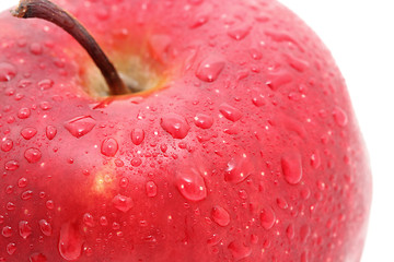 Image showing deep red apple