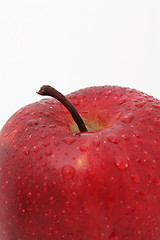 Image showing cropped apple