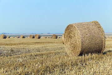 Image showing stack of straw in the field