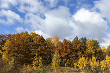 Image showing Nature in autumn season