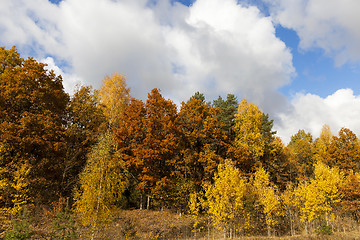 Image showing Nature in autumn season