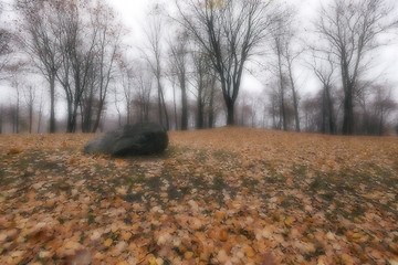 Image showing Autumn Park, overcast