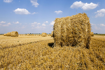 Image showing haystacks straw , summer