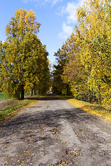 Image showing road in the autumn season