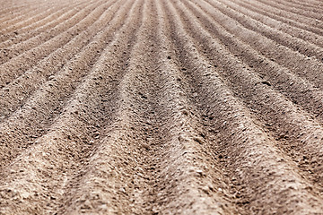 Image showing plowed field, furrows