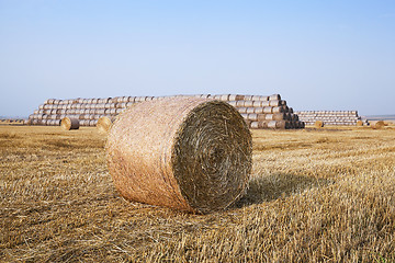 Image showing stack of straw in the field