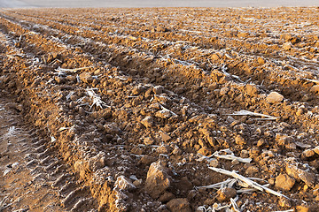 Image showing plowed land, frost