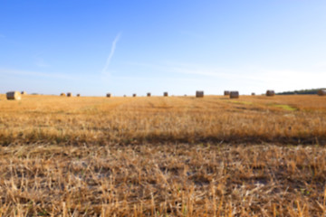 Image showing stack of wheat straw