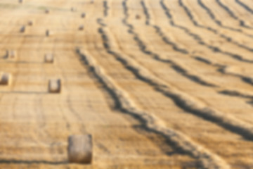 Image showing stack of straw in the field