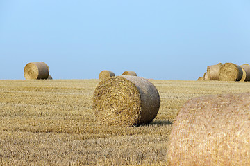 Image showing haystacks in a field of straw