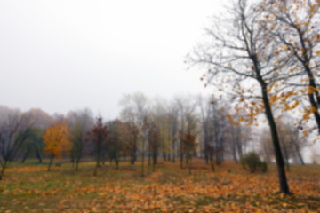 Image showing Park in the fall