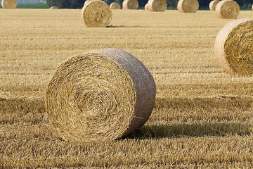 Image showing haystacks in a field of straw