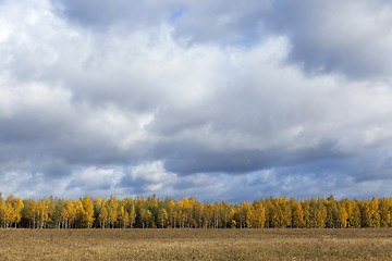 Image showing Nature in autumn season