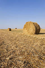 Image showing haystacks straw, close up