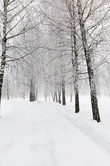 Image showing path in the snow
