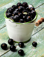 Image showing Fresh Berries of Blackcurrant