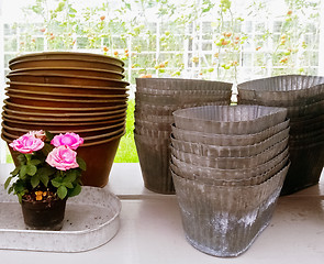 Image showing Roses and retro style metal flower pots