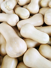 Image showing White Butternut squash