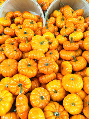 Image showing Baskets with colorful decorative gourds