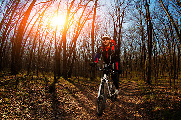 Image showing Rider in action at Freestyle Mountain Bike Session