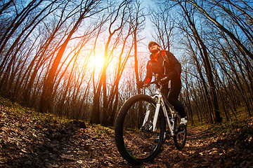 Image showing Rider in action at Freestyle Mountain Bike Session