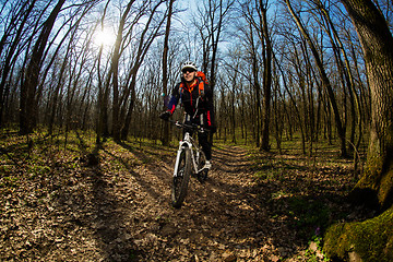 Image showing Rider in action at Freestyle Mountain Bike Session