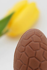 Image showing cropped egg