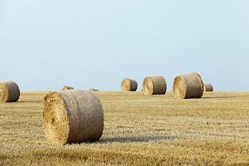 Image showing stack of straw in the field