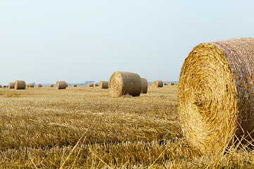 Image showing stack of straw in the field