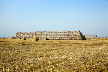 Image showing stack of straw in the field