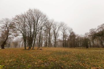 Image showing Autumn Park, overcast