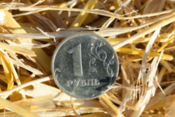 Image showing coin in the straw