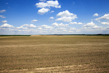 Image showing plowed for crop land