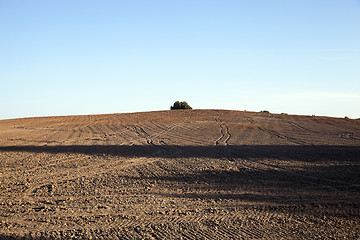 Image showing plowed agricultural field