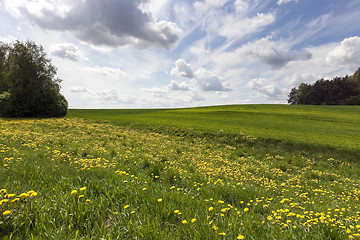 Image showing Photo agriculture, Europe