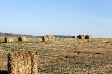 Image showing stack of wheat straw