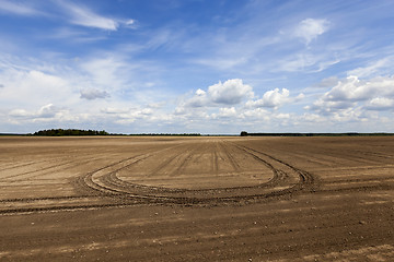 Image showing plowed field. sky