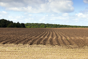 Image showing plowed land, furrows