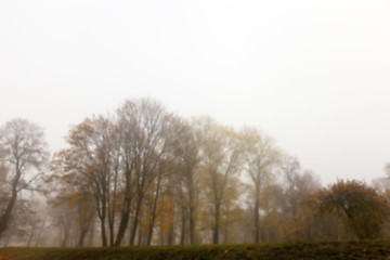 Image showing Autumn Park, overcast