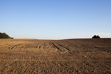 Image showing plowed agricultural field